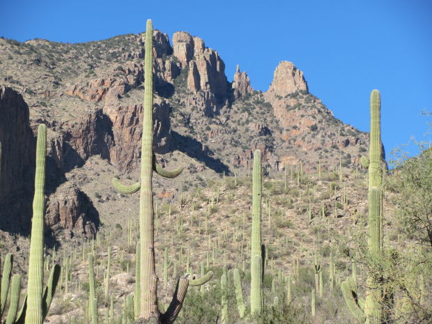 Finger Rock